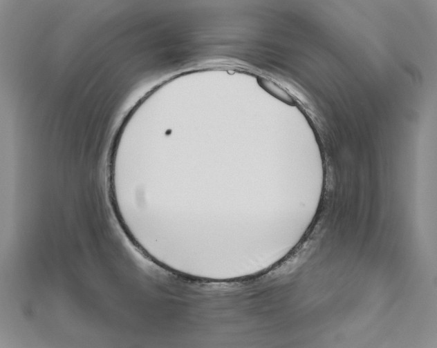 X0000111191430200908121038