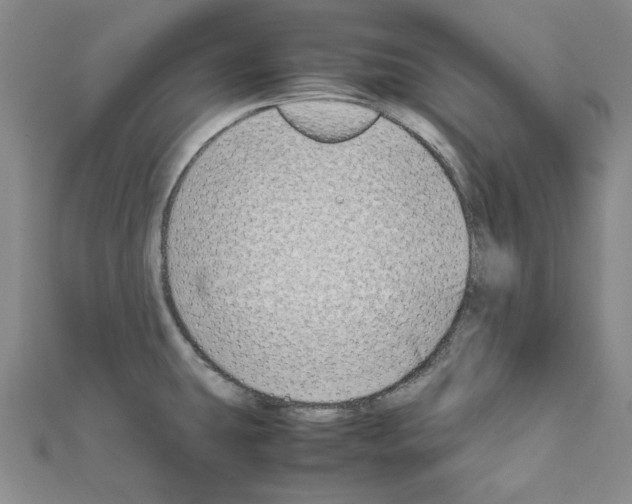 X0000111191431200908121038