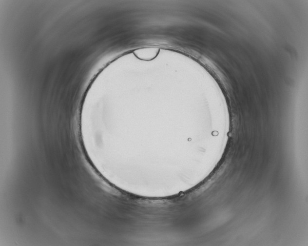 X0000111191432200908121038