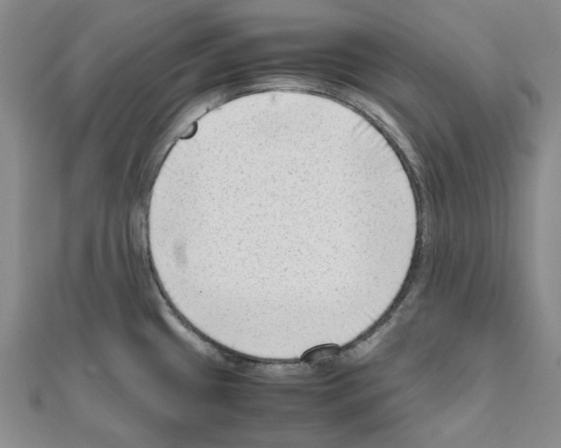 X0000111191433200908121038