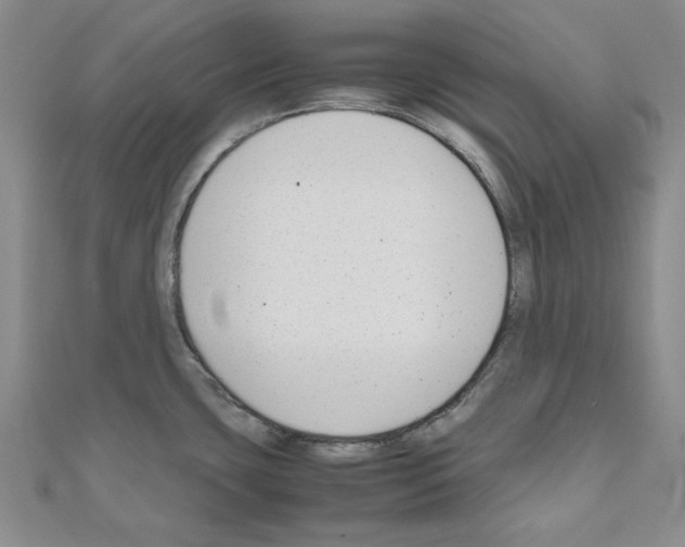 X0000111191435200908121038