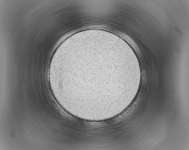 X0000111191436200908121038