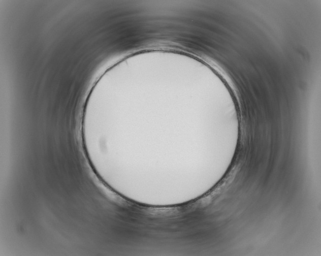 X0000111191437200908121038