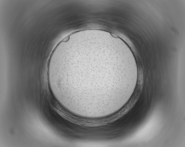 X0000111191439200908121038