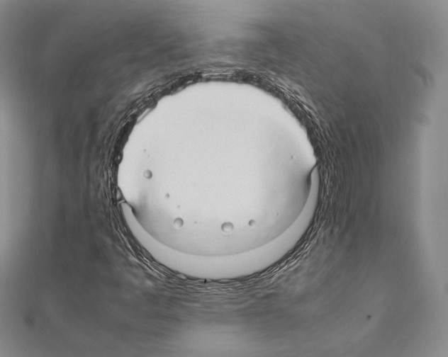 X0000111191445200908121037