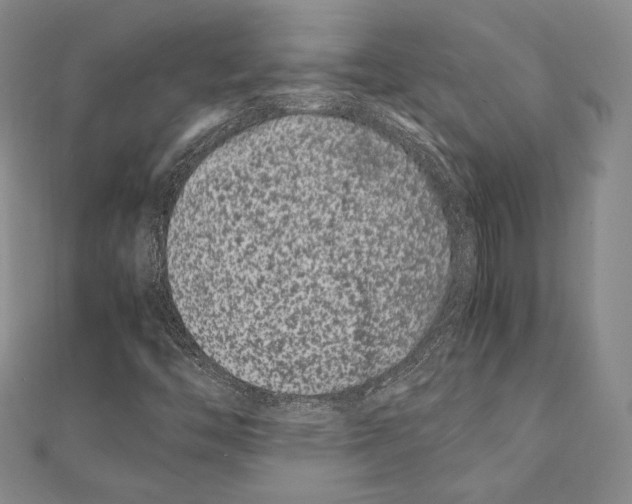 X0000111191446200908121037
