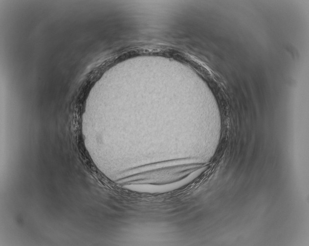 X0000111191447200908121037
