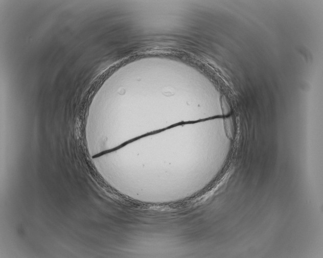 X0000111191449200908121037