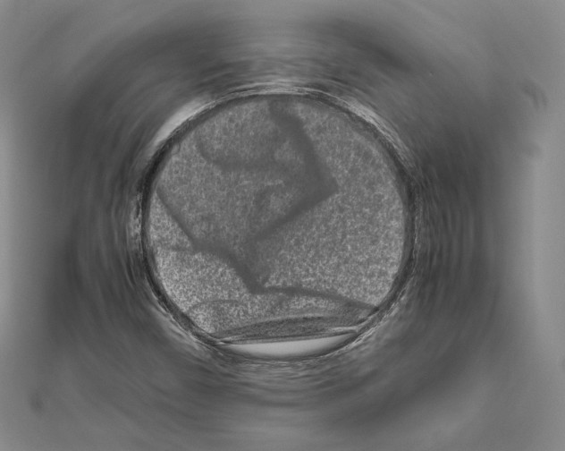 X0000111191450200908121037