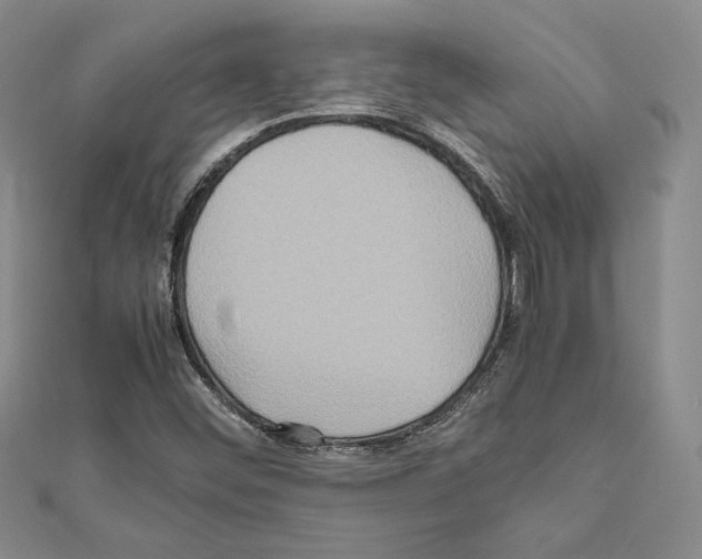 X0000111191452200908121037
