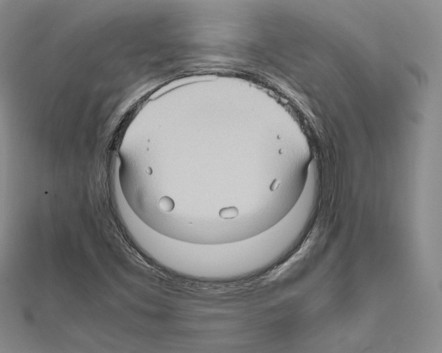 X0000111191453200908121037
