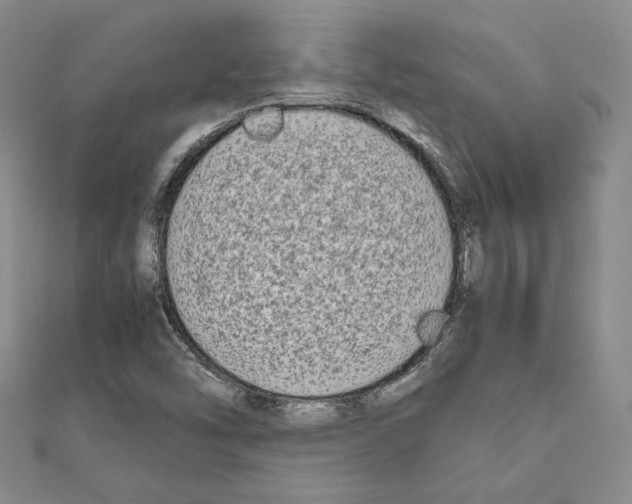 X0000111191454200908121037