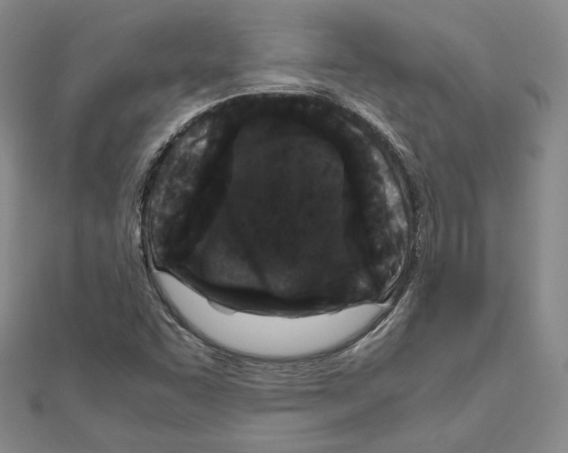 X0000111191455200908121037