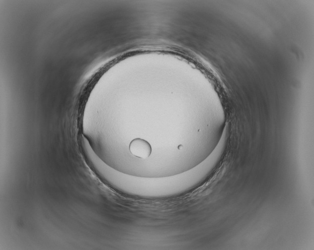 X0000111191456200908121037