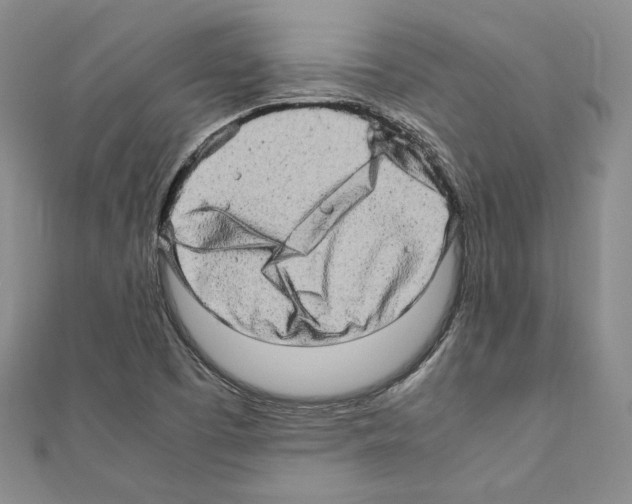 X0000111191457200908121037