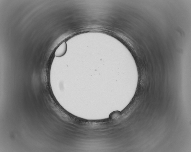X0000111191458200908121037