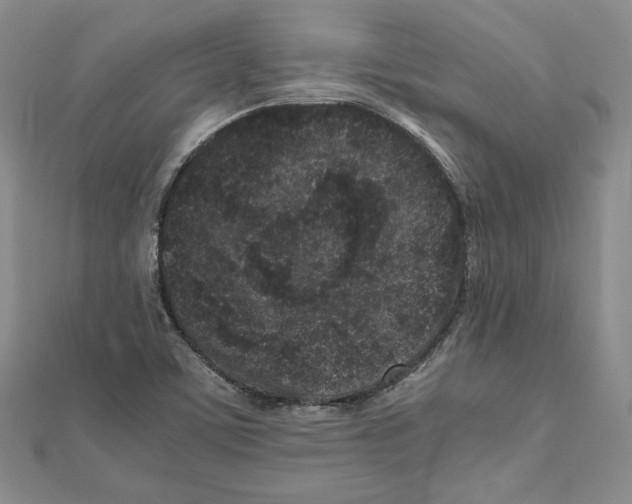 X0000111191459200908121037
