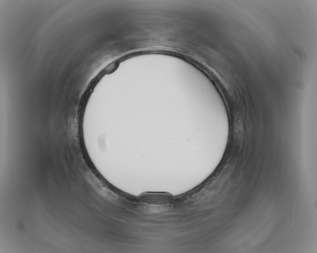 X0000111191460200908121037