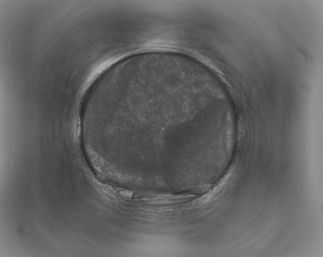 X0000111191461200908121037