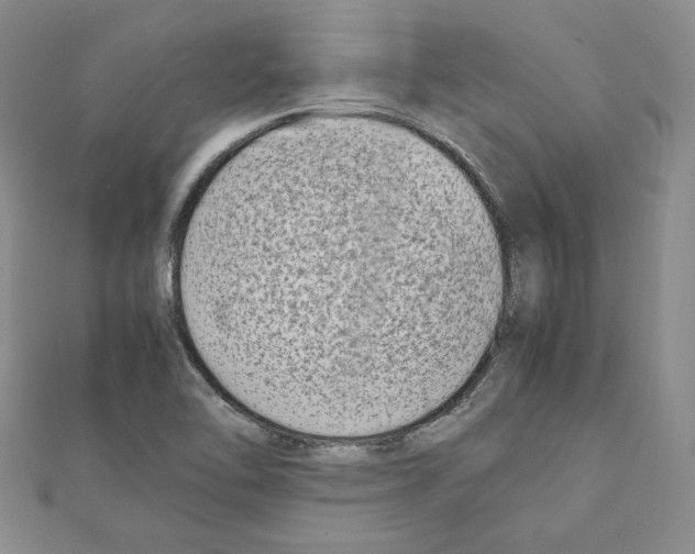 X0000111191462200908121037