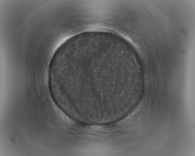 X0000111191463200908121037