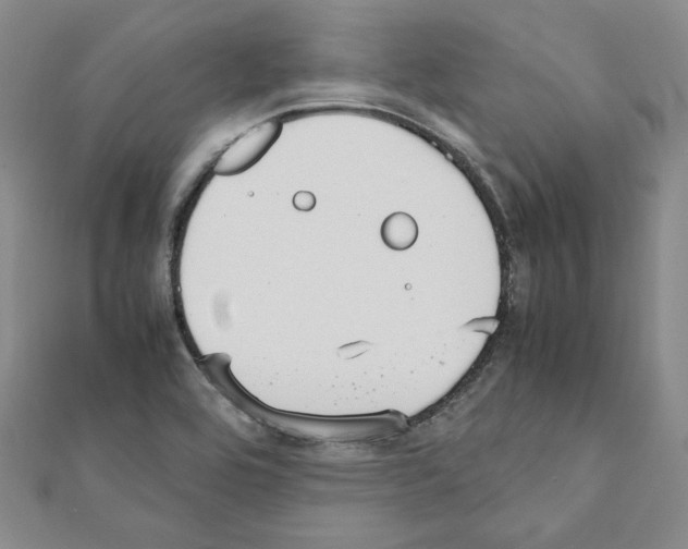 X0000111191464200908121037