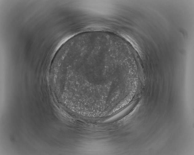 X0000111191465200908121037