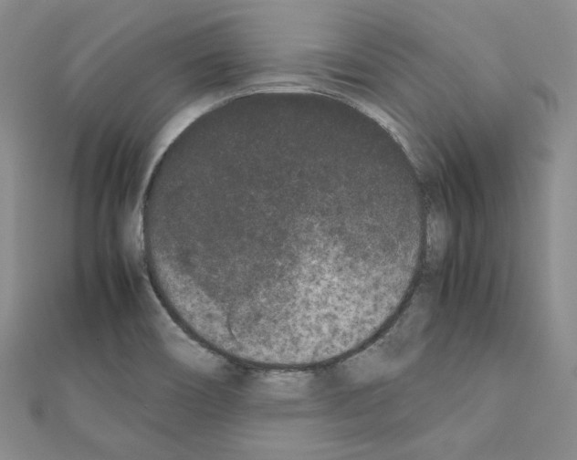 X0000111191466200908121037