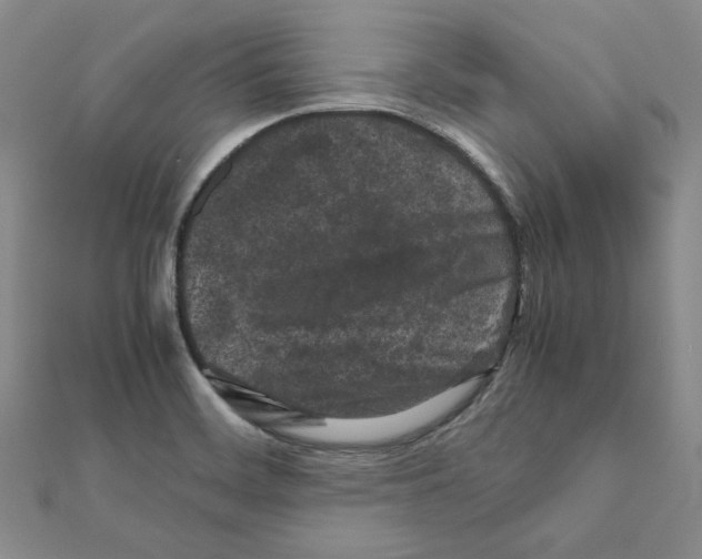X0000111191468200908121037