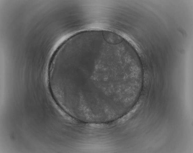 X0000111191469200908121037