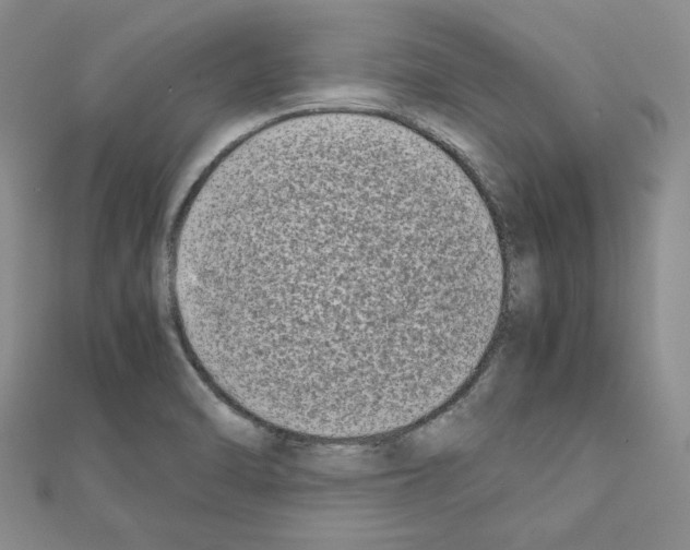 X0000111191470200908121037