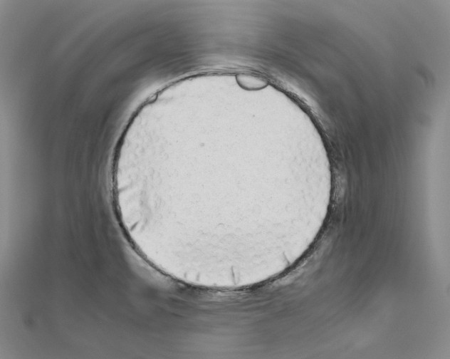 X0000111191471200908121036
