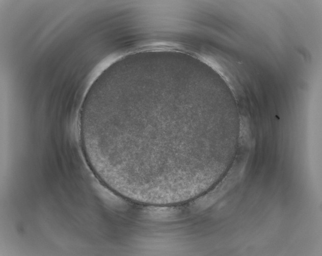 X0000111191474200908121036
