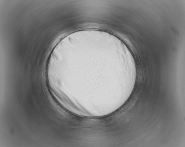 X0000111191475200908121036