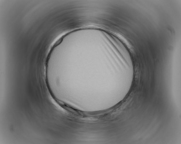 X0000111191476200908121036