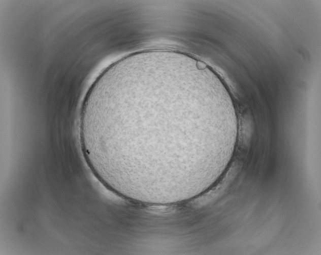 X0000111191478200908121036
