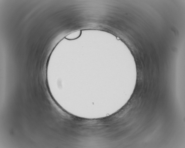 X0000111191479200908121036