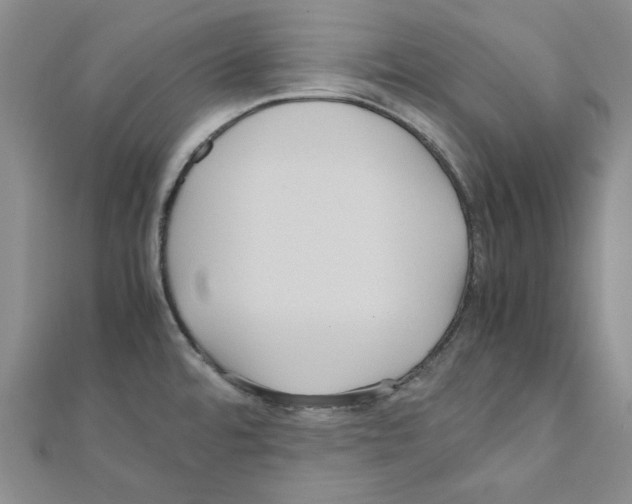 X0000111191480200908121036