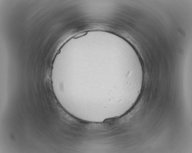 X0000111191481200908121036