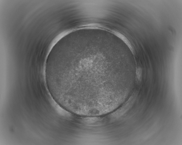X0000111191482200908121036