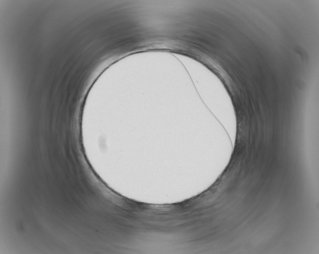 X0000111191483200908121036