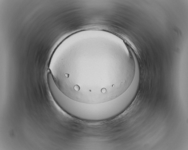 X0000111191484200908121036