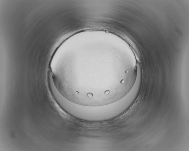 X0000111191485200908121036