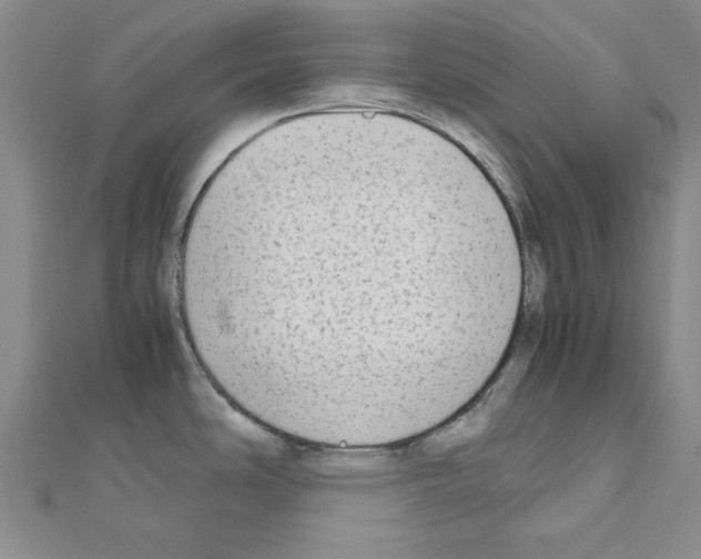X0000111191486200908121036