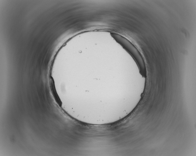 X0000111191488200908121036