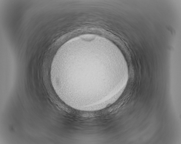X0000111191489200908121035