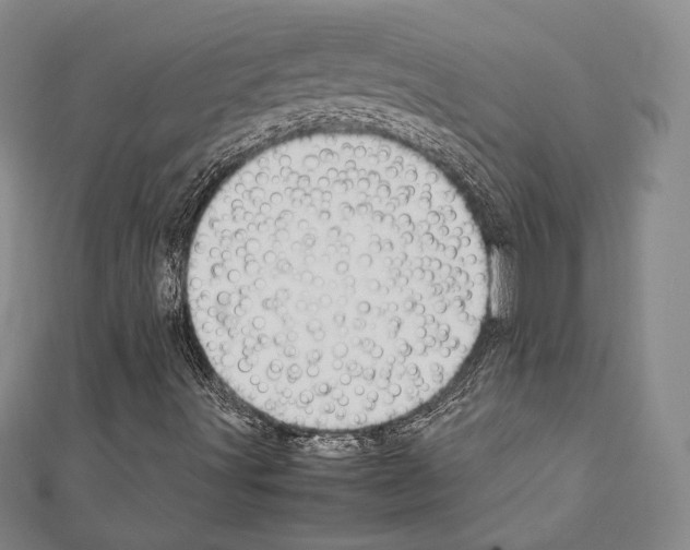 X0000111191491200908121036