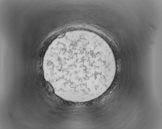 X0000111191494200908121036