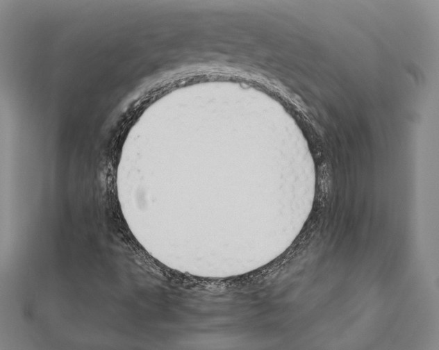 X0000111191495200908121036