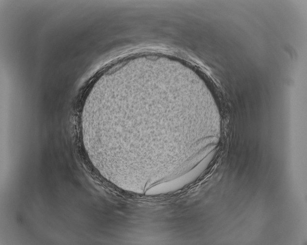 X0000111191496200908121036